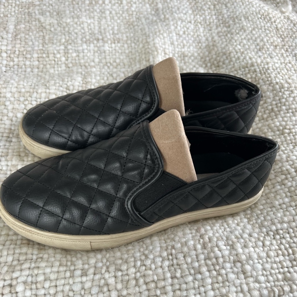 Steve Madden Sneakers
